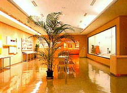 Exhibition area on the first floor lobby
